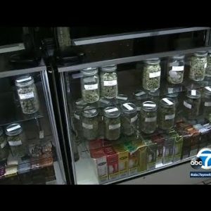 The fight against the profitable industry of unlawful marijuana dispensaries in California I ABC7
