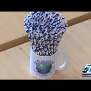 Some Malibu businesses no longer thrilled about plastic straw ban | ABC7