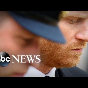 Accountability, apologies are ‘unfinished industry’ for Prince Harry: Royal educated l ABCNL