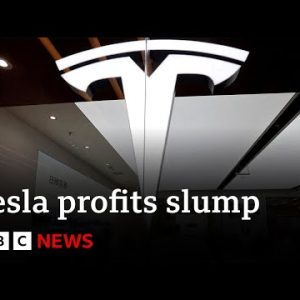 Tesla earnings reduce in half of as demand falls | BBC News